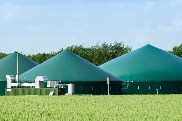 Du siehst eine Biogasanlage mit grünen Fermentern und technischer Ausstattung hinter einem Getreidefeld.