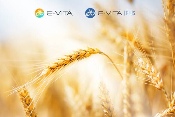 Du siehst Nahaufnahme von goldenem Getreidefeld mit E-VITA und E-VITA PLUS Logos im oberen Bereich.