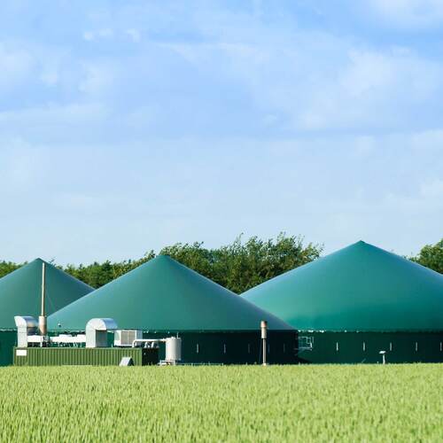 Du siehst eine Biogasanlage mit grünen Fermentern und technischer Ausstattung hinter einem Getreidefeld.