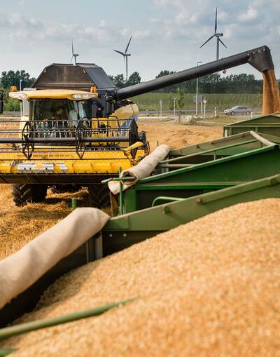 RAISA eG: Mähdrescher beim entladen des Kornbehälters auf einen Anhänger