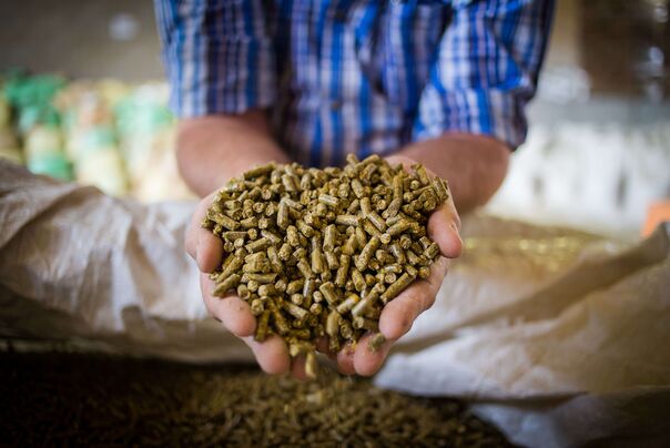 RAISA eG: Hände voller Futterpellets werden in die Kamera gehalten