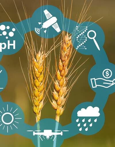 RAISA eG: Ein Logo mit verschiedenen Symbolen, unter anderem Wetter, Börse, PH Wert