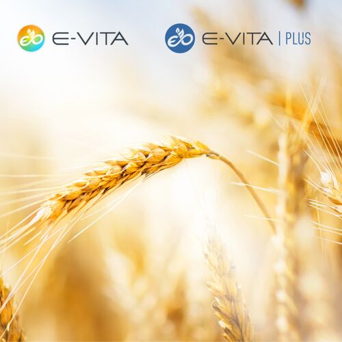 Du siehst Nahaufnahme von goldenem Getreidefeld mit E-VITA und E-VITA PLUS Logos im oberen Bereich.