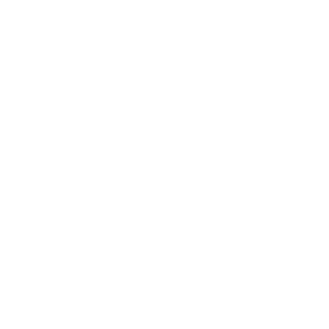 Logo der RAISA eG in Weiß