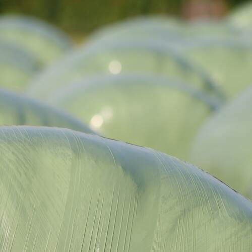 Du siehst dicht aneinanderliegende, hellgrün folierte Siloballen auf einer Wiese oder einem Feld.
